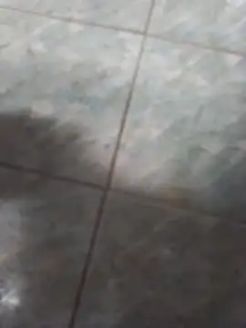 rgsnakan online show from January 15, 3:26 pm