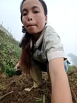 Nguyet2k4 online show from November 12, 7:12 am