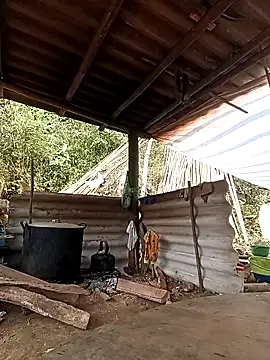 -Kem-01 online show from February 26, 5:18 am