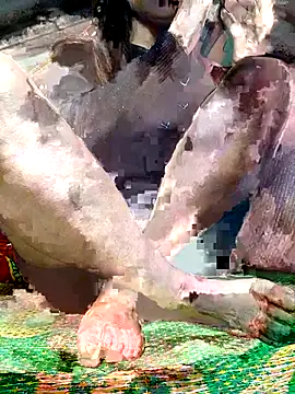 -Kem-01 online show from December 5, 1:10 pm