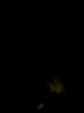 an-show online show from December 4, 1:04 am