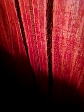 svk 05 online show from November 12, 1:21 am