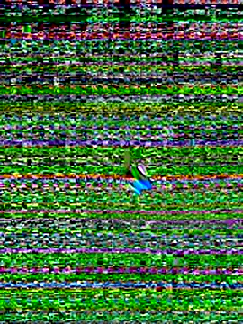 Your hope77 online show from November 3, 4:21 pm