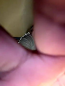 Snapshot of payal_mittal chatting on November 27, 9:26 pm payal mittal online show from November 27, 9:26 pm