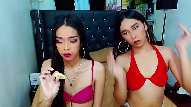 LovelyTs4U online show from November 28, 8:47 am