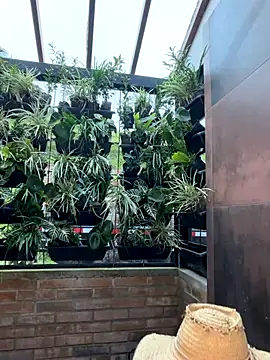 Rashel Frost  online show from November 23, 6:51 pm