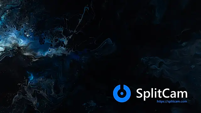 bull419M online show from December 21, 2:08 pm