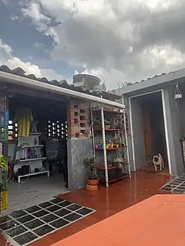 Snapshot of Leonardmoppet chatting on October 23, 5:55 pm Leonardmoppet online show from October 23, 5:55 pm