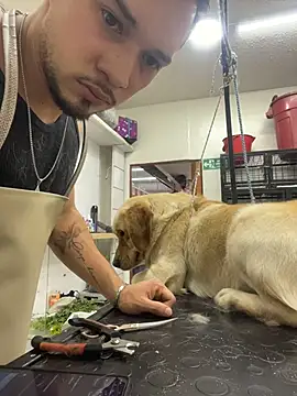 Snapshot of Leonardmoppet chatting on October 25, 9:26 pm Leonardmoppet online show from October 25, 9:26 pm