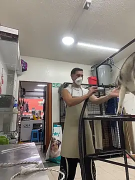 Snapshot of Leonardmoppet chatting on November 4, 8:56 pm Leonardmoppet online show from November 4, 8:56 pm