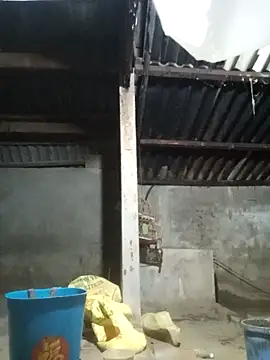 Snapshot of Myzak- chatting on November 22, 11:09 am Myzak- online show from November 22, 11:09 am