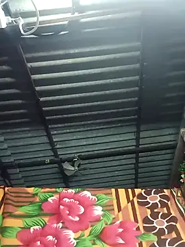 Rajni chauhan online show from November 7, 9:41 pm