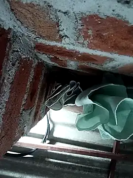 Rajni chauhan online show from November 4, 7:06 pm