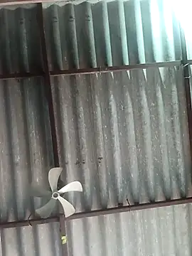 Rajni chauhan online show from November 6, 6:06 am