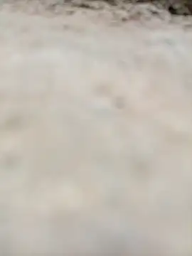 Rajni chauhan online show from October 31, 11:55 pm