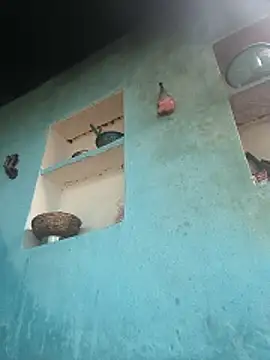 Ragni bhargav online show from December 1, 4:57 am