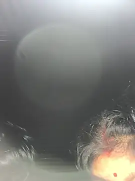 Snapshot of Ragni_bhargav chatting on January 19, 4:22 pm Ragni bhargav online show from January 19, 4:22 pm