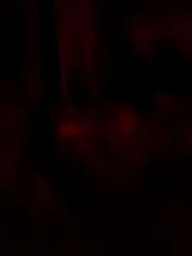 goloso80 online show from May 22, 2:53 am