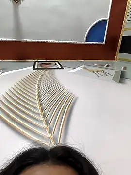 Anshika1431 online show from November 22, 4:55 am