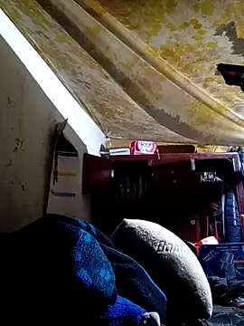 Cogelonregio online show from October 25, 2:55 am