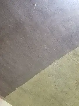 Cogelonregio online show from October 26, 5:19 am