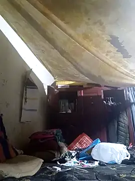 Cogelonregio online show from April 2, 3:02 am