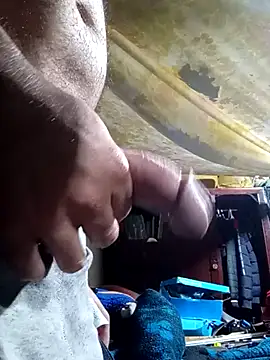 Cogelonregio online show from November 28, 6:35 am