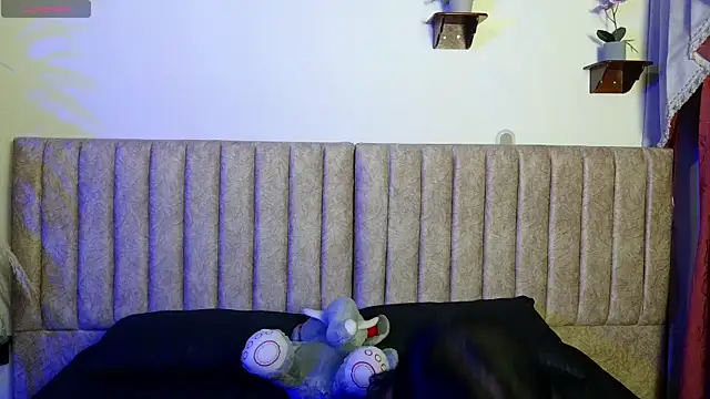 LittleStar SM online show from November 8, 4:16 am