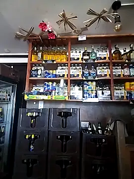 catalella16 online show from February 5, 4:47 pm