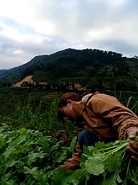 omai-ngot online show from November 22, 9:19 am