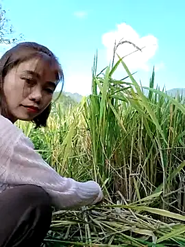 omai-ngot online show from October 23, 1:48 am