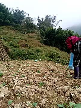 omai-ngot online show from December 4, 2:21 am