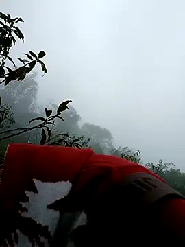 omai-ngot online show from November 9, 2:15 am