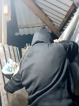 nui-show online show from November 15, 1:37 pm