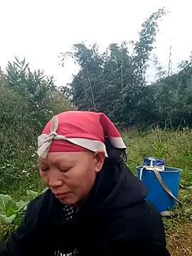 nui-show online show from November 22, 6:01 am