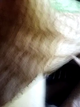 Snapshot of Soumyajit129ommk chatting on November 11, 3:01 am Soumyajit129ommk online show from November 11, 3:01 am