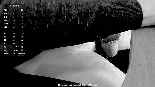 Mister Majestic online show from November 19, 3:45 pm