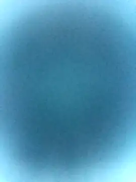 tabby-cat11 online show from February 19, 2:47 pm