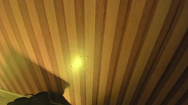 mia  blaze   online show from March 30, 2:57 am