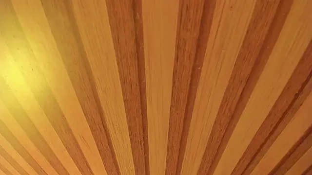 mia  blaze   online show from January 13, 2:59 am