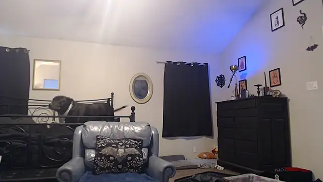 Snapshot of ImKatMeow chatting on February 16, 6:50 pm ImKatMeow online show from February 16, 6:50 pm