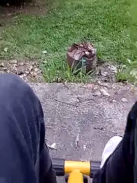 roludao fun online show from February 20, 9:17 pm