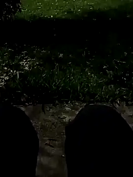 roludao fun online show from November 10, 10:48 pm