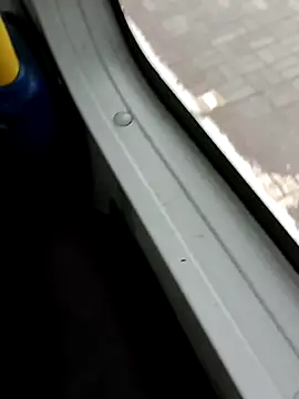 roludao fun online show from November 6, 11:36 am