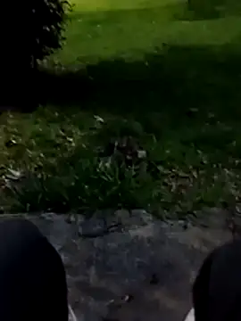 roludao fun online show from January 9, 10:17 pm