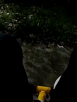 roludao fun online show from November 27, 12:00 am