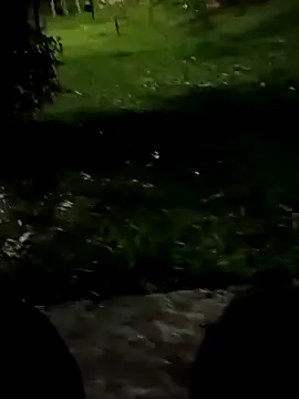 roludao fun online show from November 3, 10:24 pm