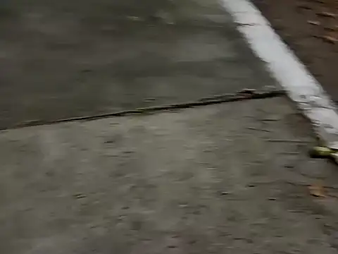 roludao fun online show from December 4, 10:09 pm