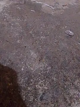 Orlao25cm online show from November 16, 4:39 am