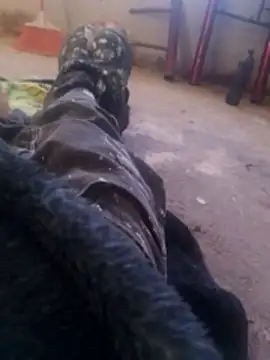 Orlao25cm online show from November 8, 1:58 pm